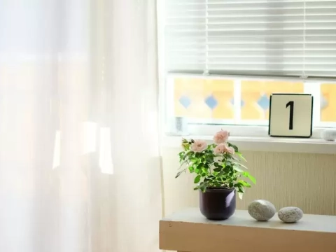 Rèm trắng kết hợp